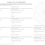 Wheel of life assessment