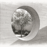 Graphite architectural illustration of a deep circular concrete window framing an olive tree.